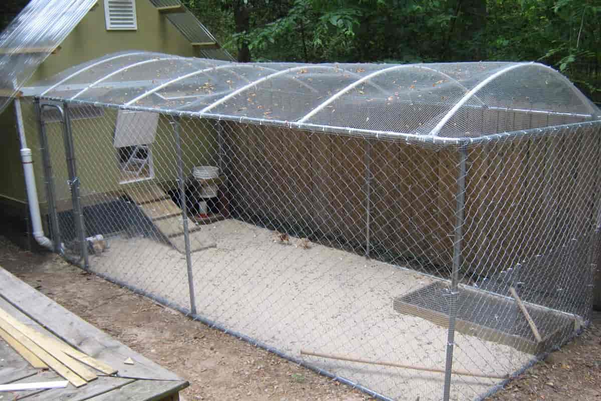 chicken mesh fencing