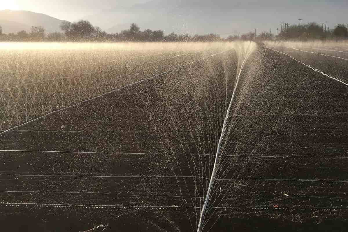 rain pipe irrigation