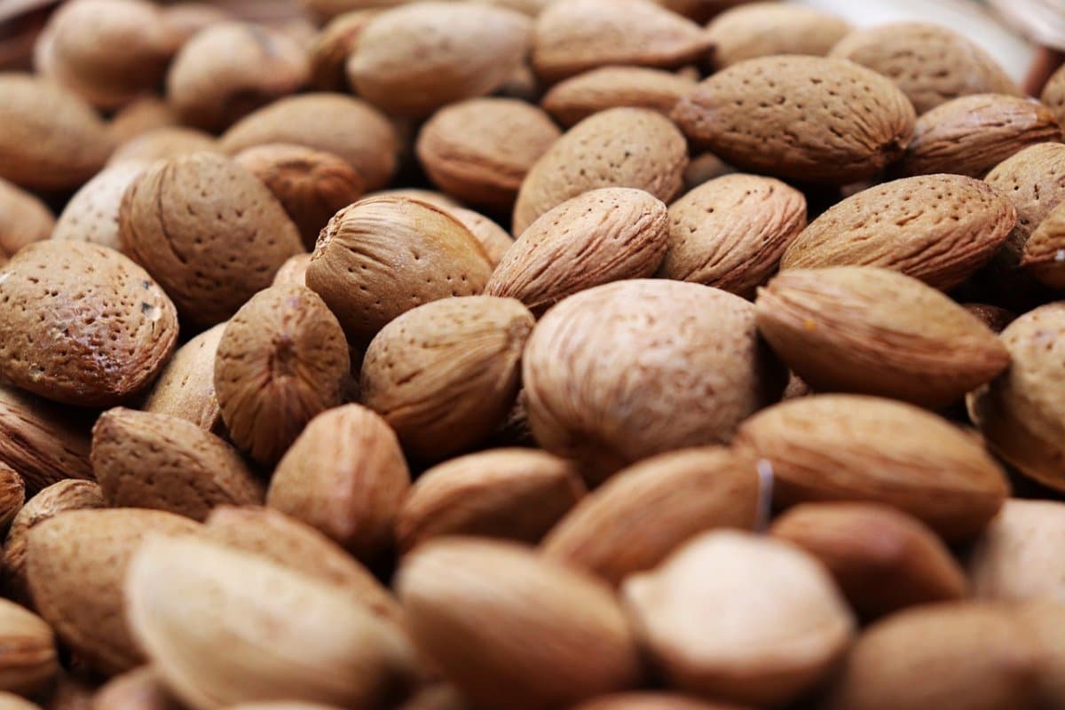 mamra almond benefits