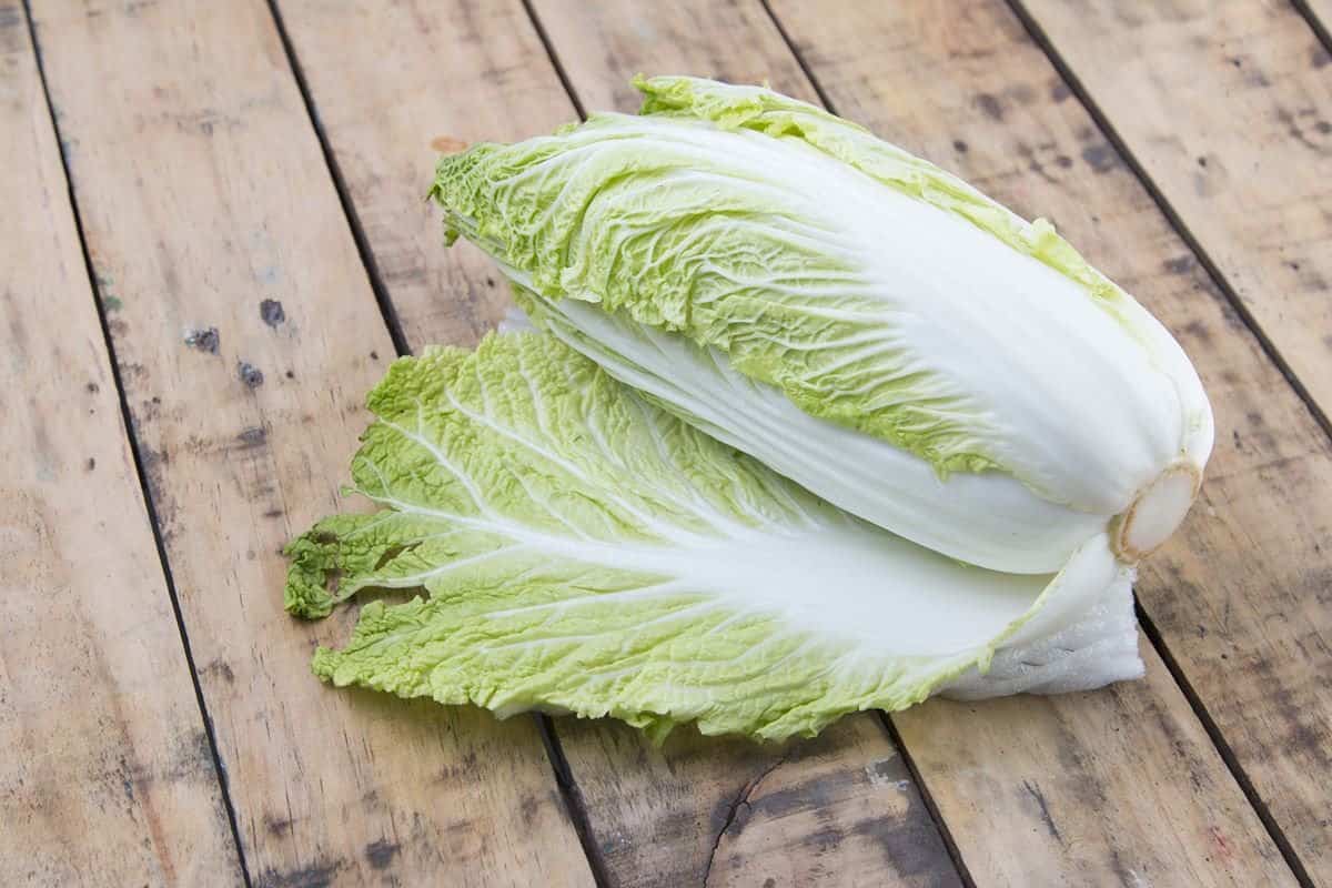 organic cabbage