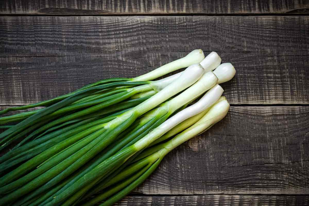 spring onion in hindi