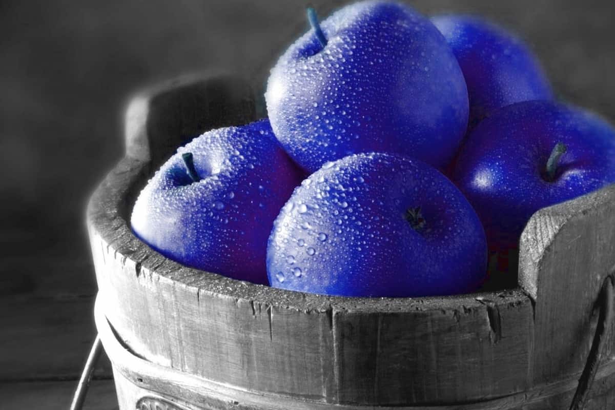 blue apple fruit saver