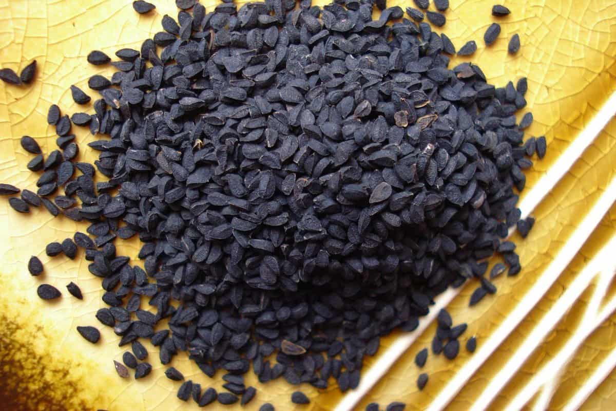 black cumin seeds in telugu