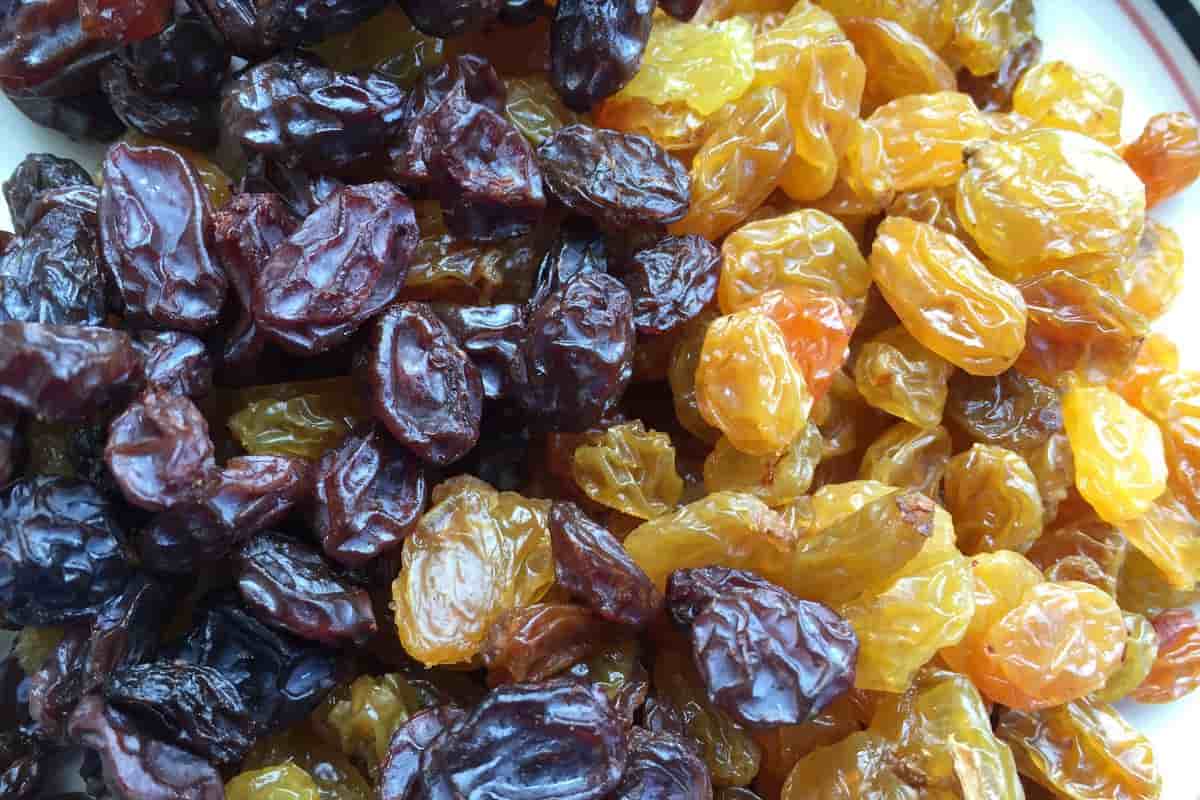 madhuban premium seedless raisins