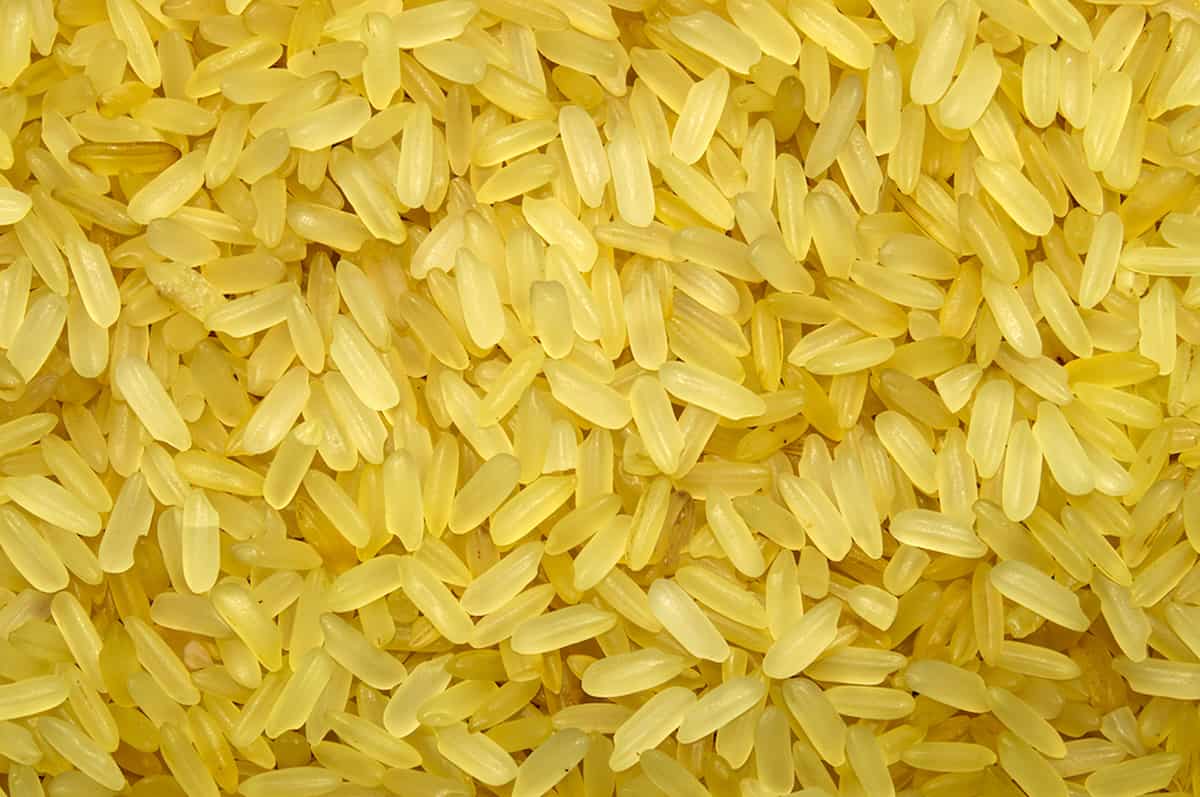 golden rice for basmati
