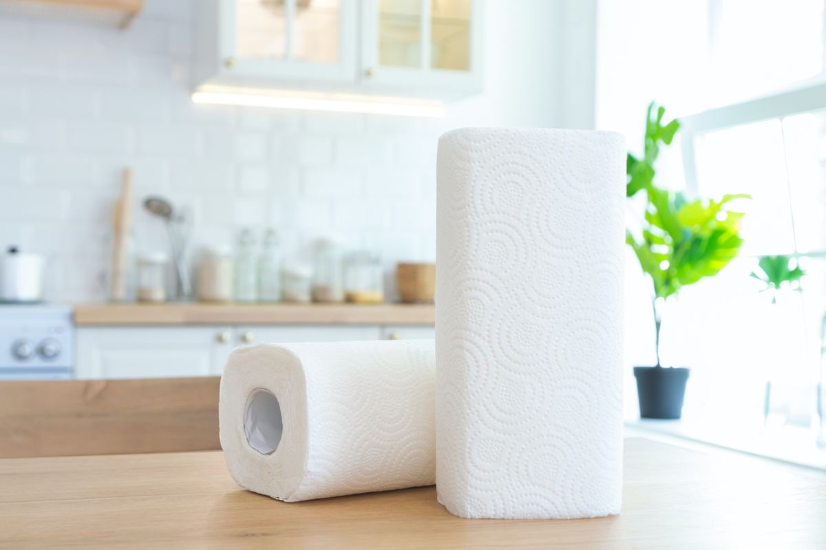 twinsaver paper towel dispenser