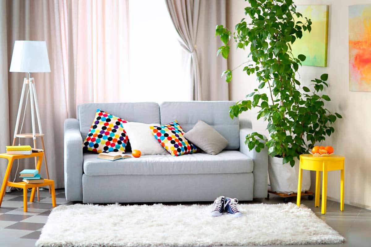 geeken furniture sofa