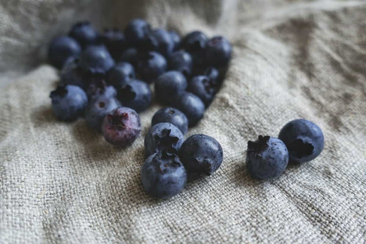 blueberry dry fruit benefits in hindi