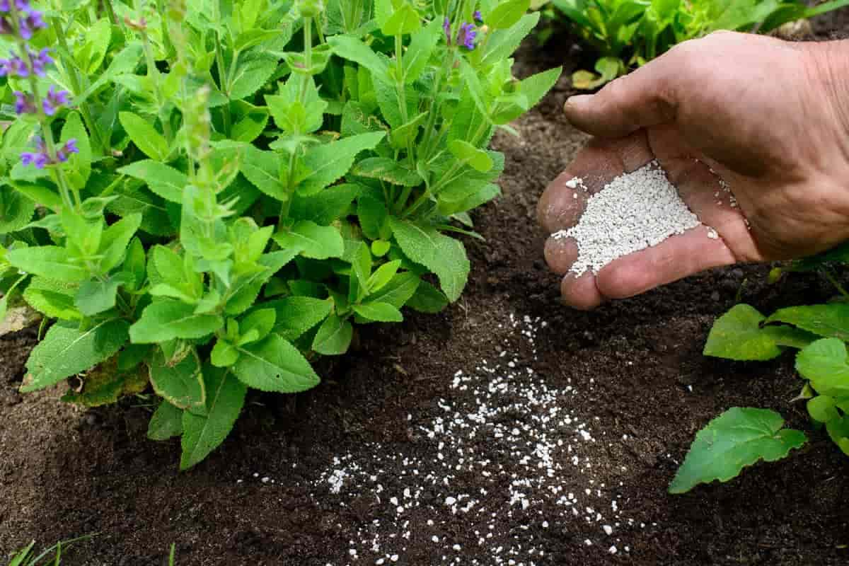 granular mop fertilizer