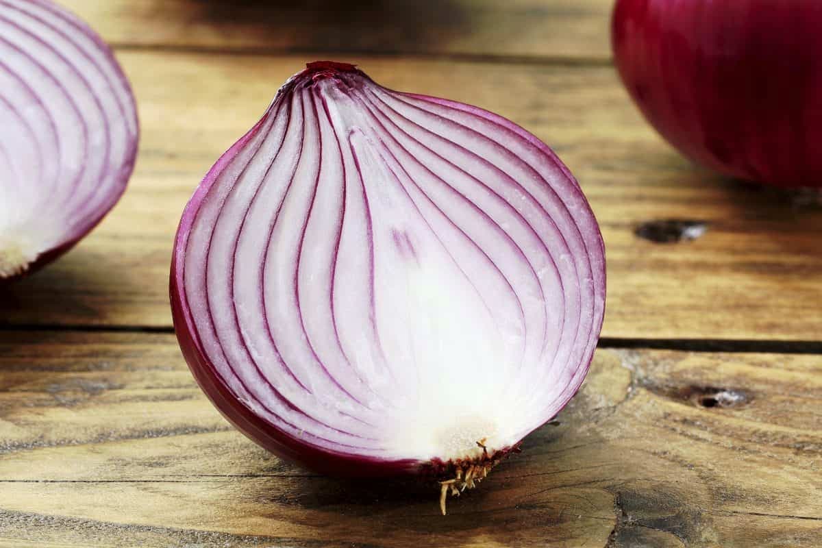 red onion plant