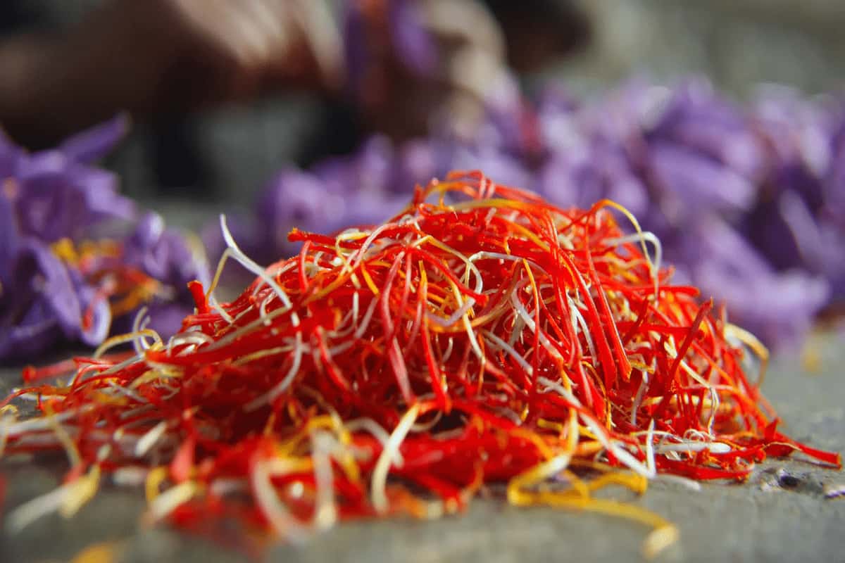 where to buy original kashmiri saffron