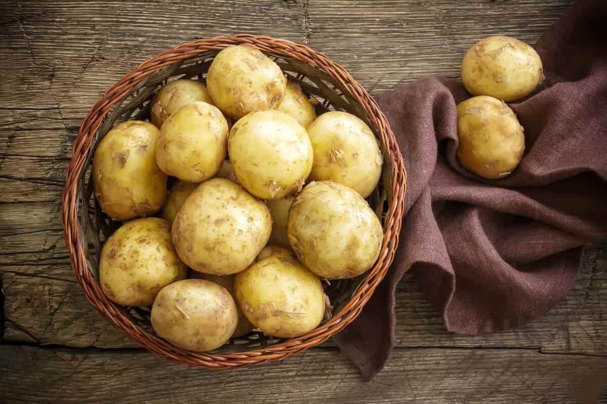 japanese potato