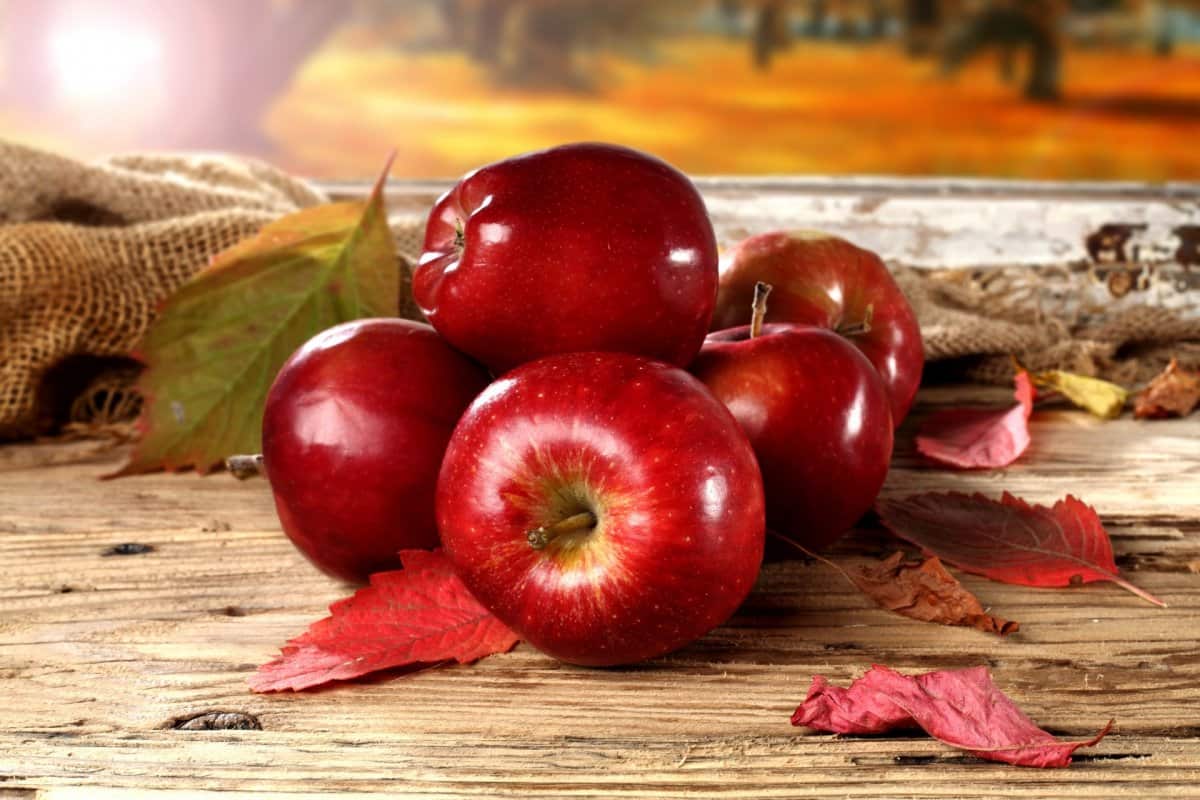 big red apple fruit