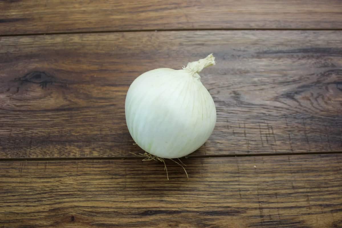 white onion nutrition