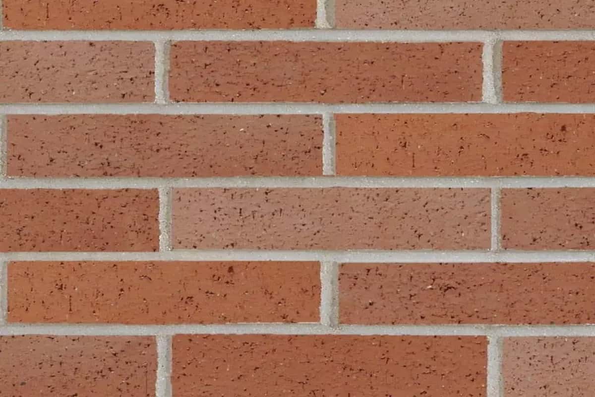 common bricks bunnings