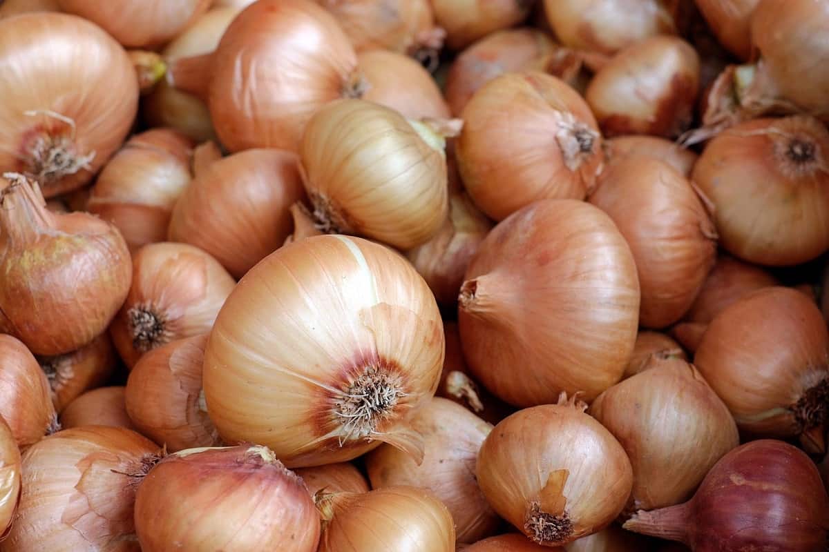 onion benefits for skin