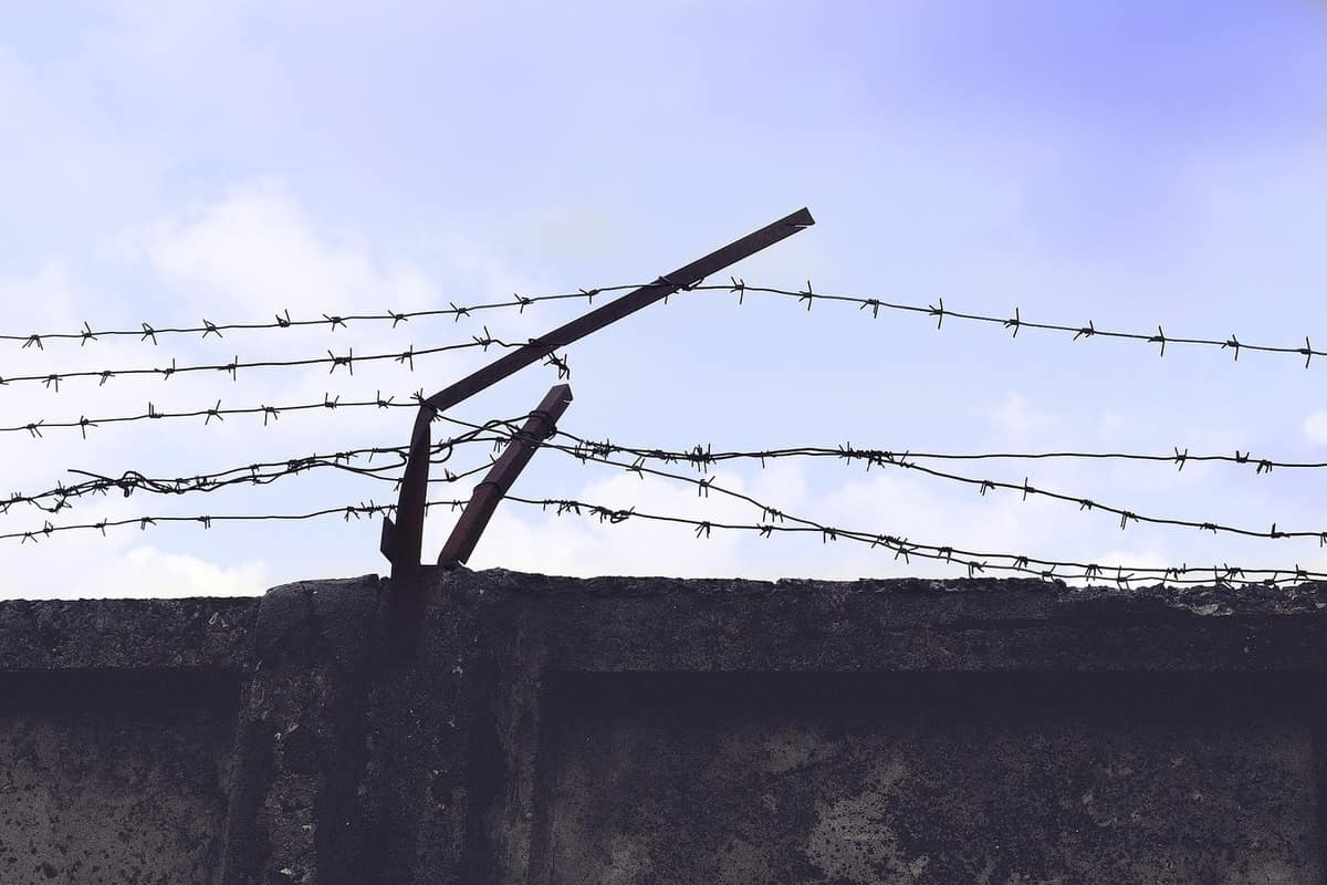 Wall Barbed Wire