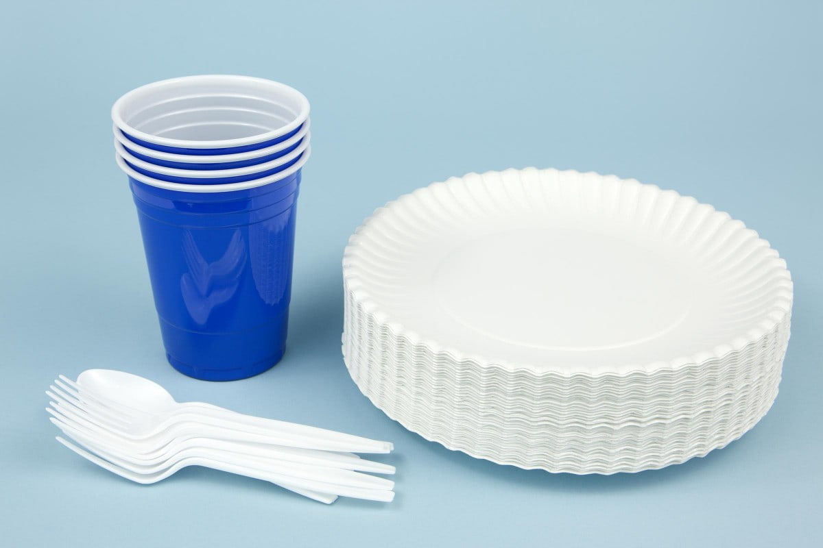disposable serving dishes