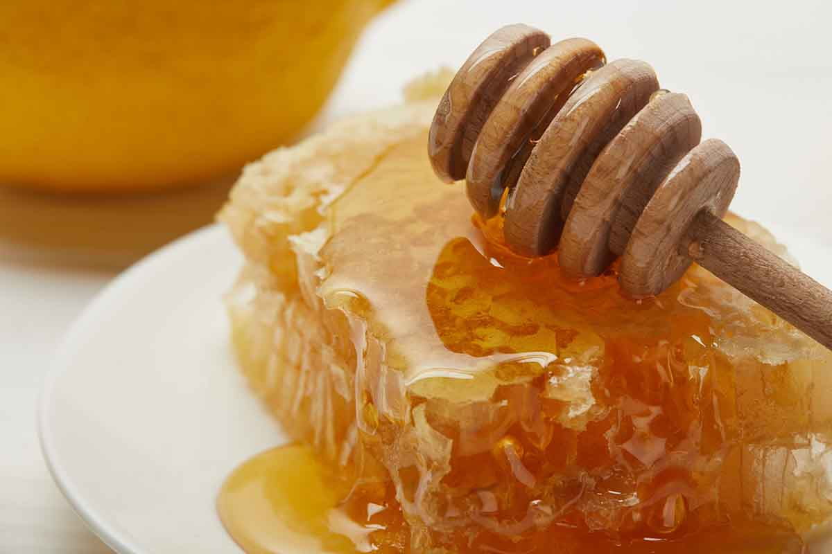 langnese honey 500g