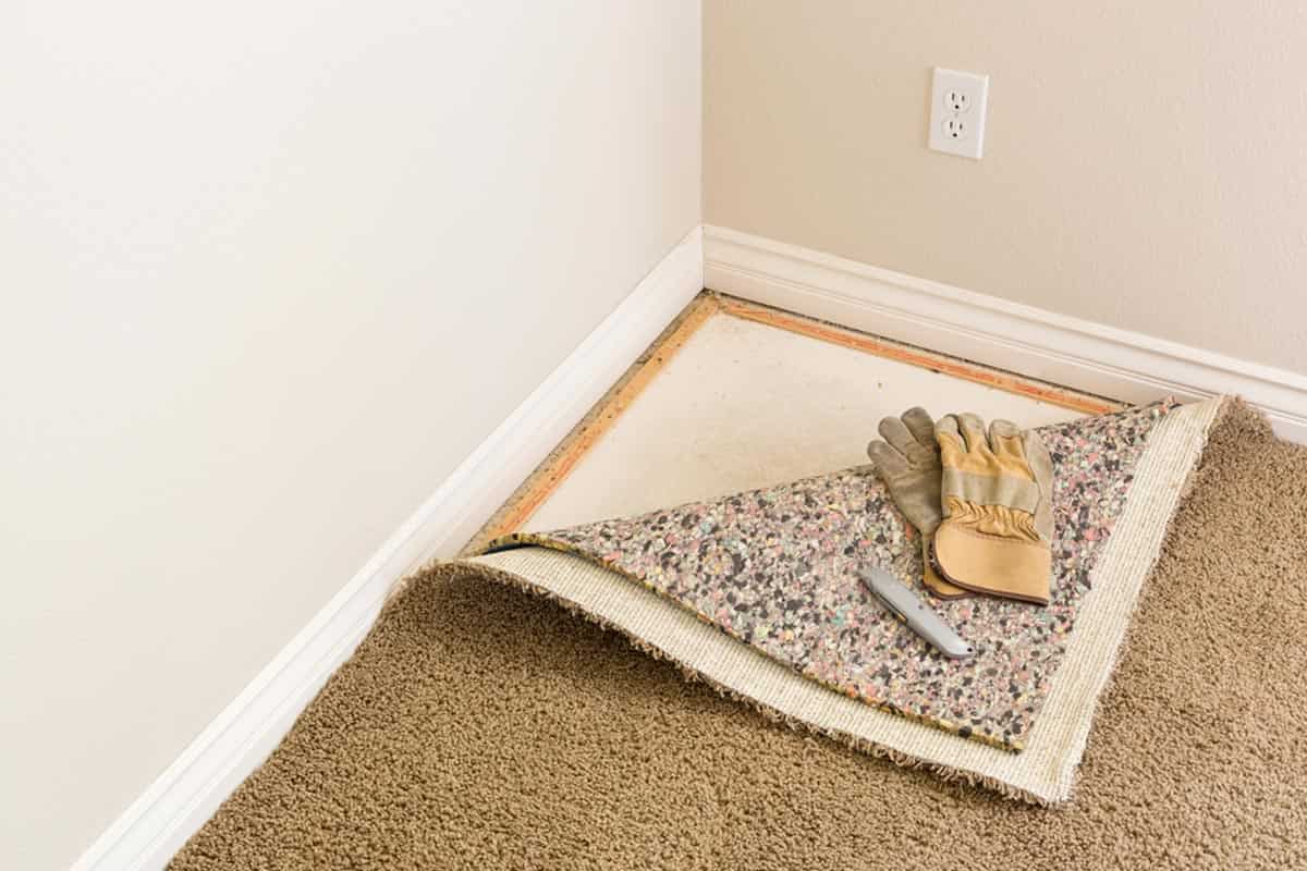 apartment carpet cover