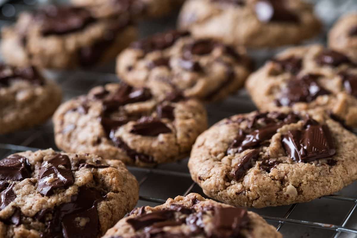 chocolate cookies with white chocolate chips