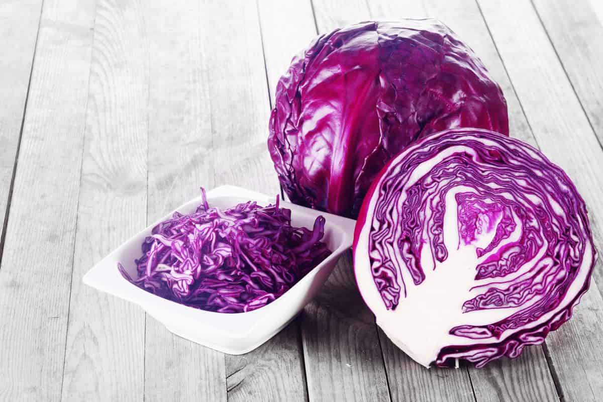 Purple Cabbage 