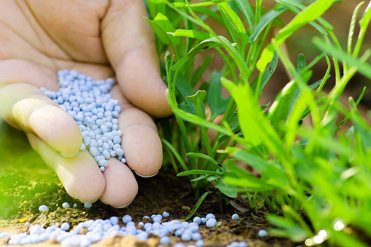 nano urea fertilizer