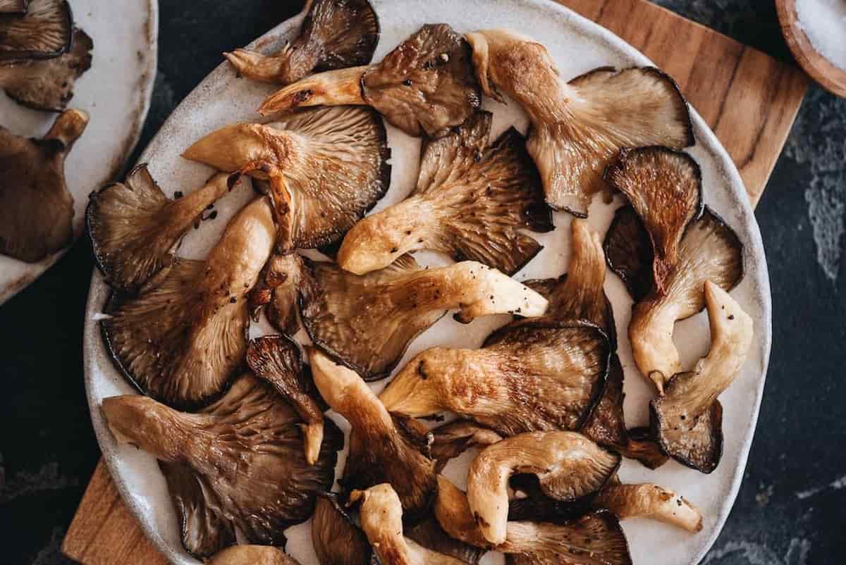 oyster mushroom benefits