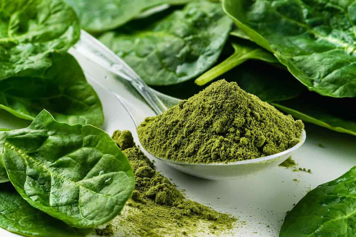 spinach leaf powder