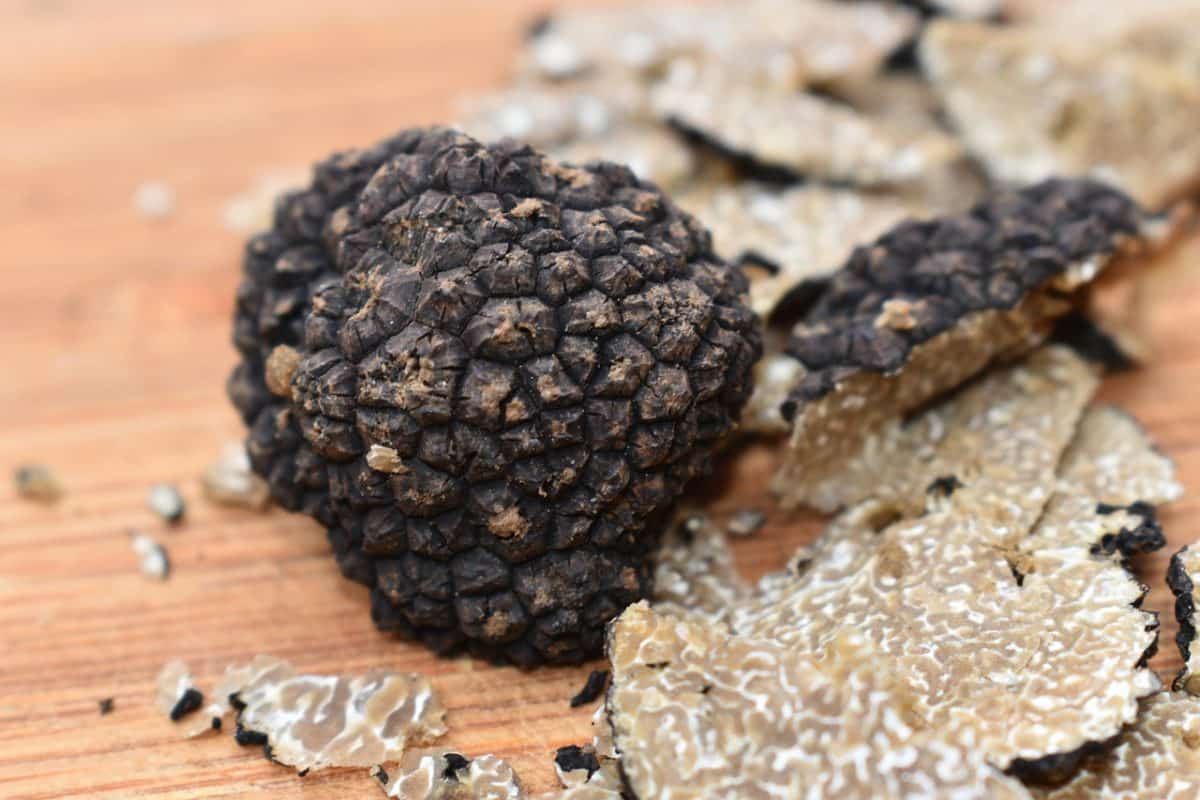 truffle mushroom ravioli
