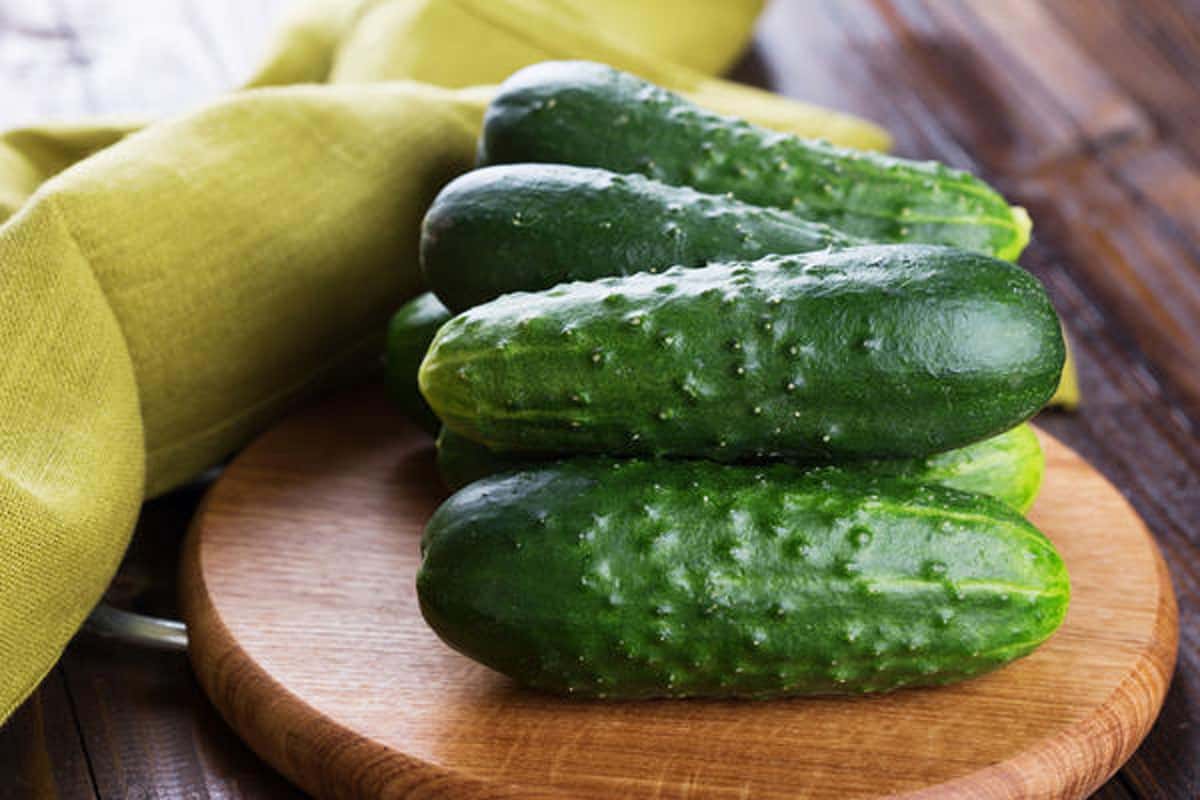pickled mini cucumbers