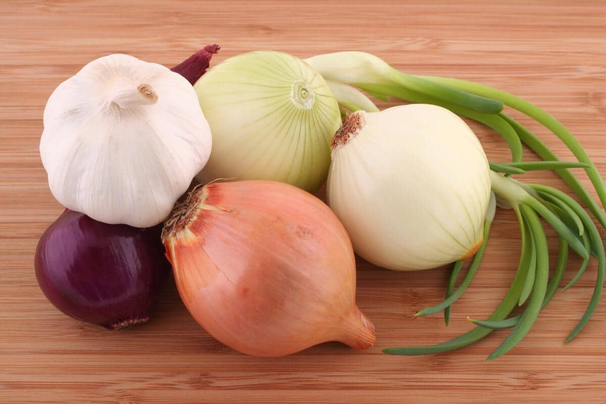 onion vegetable or fruit