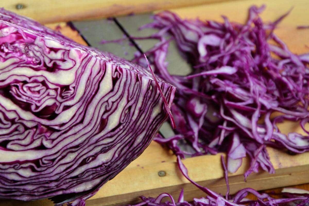 purple cabbage salad
