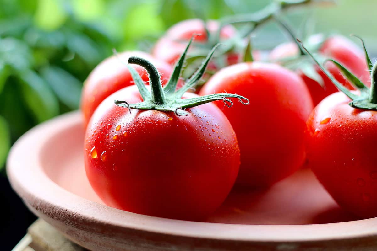 big red tomato