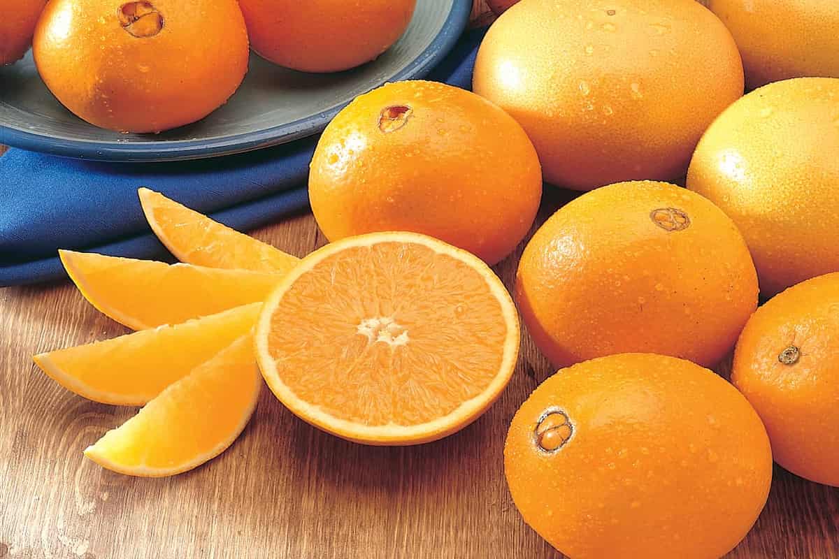 Navel Oranges per Pound