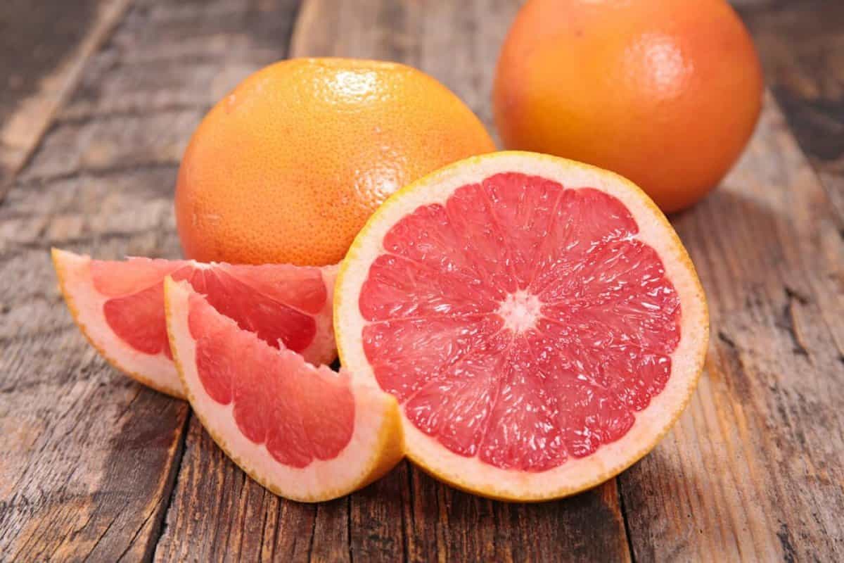red grapefruit paloma