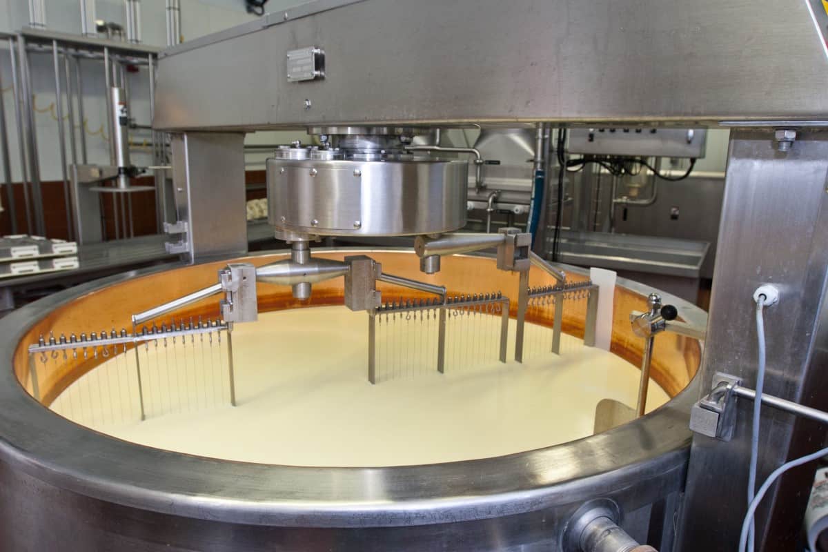 automatic cheese maker