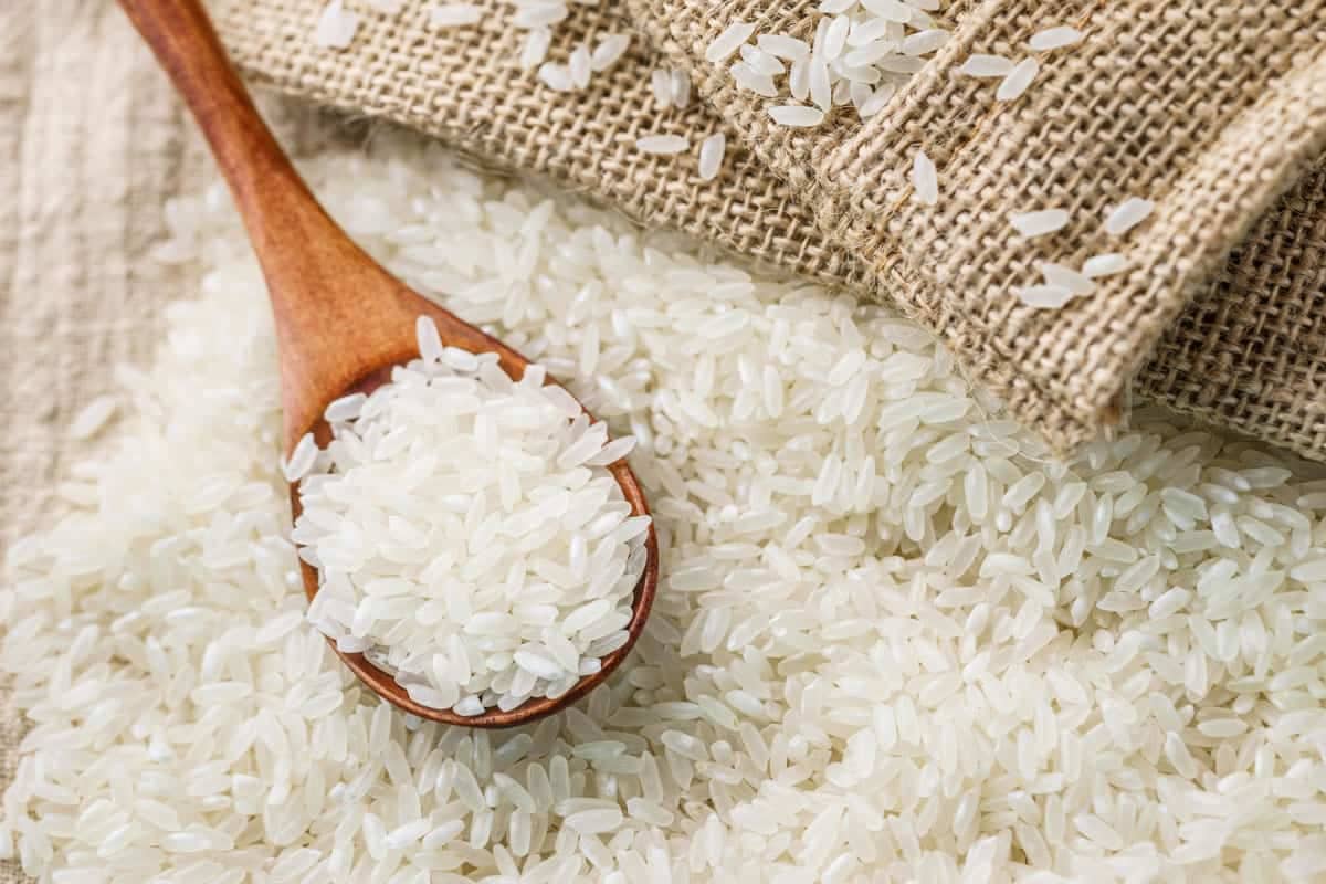 raw rice calories