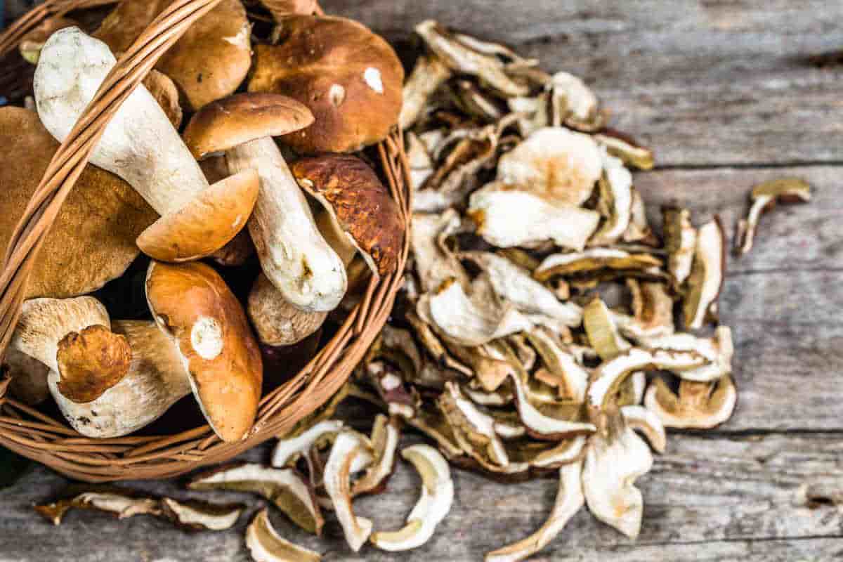dried porcini mushrooms substitute