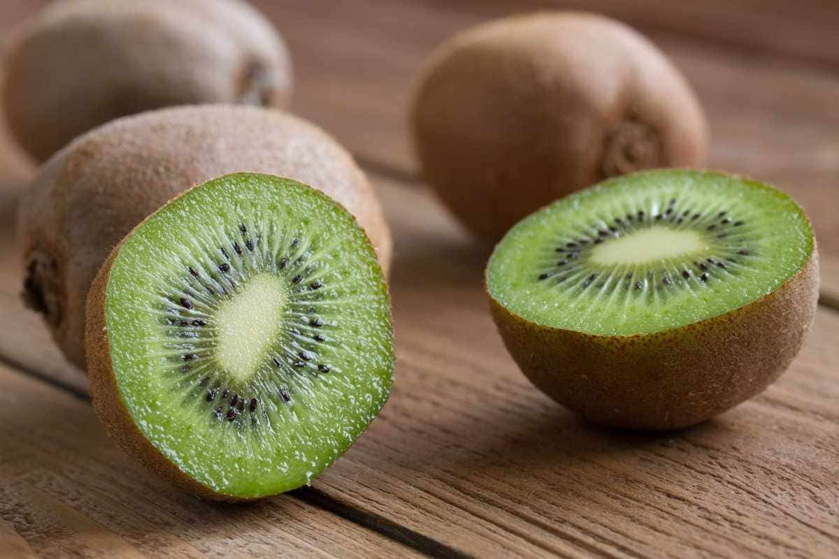 Largest Kiwi Fruit