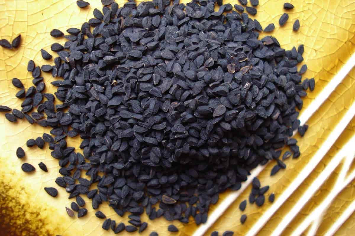 organic black cumin