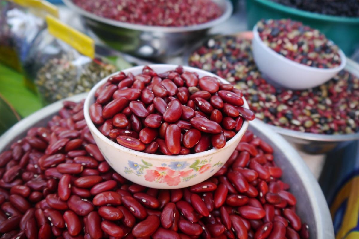 dried red kidney beans preparation
