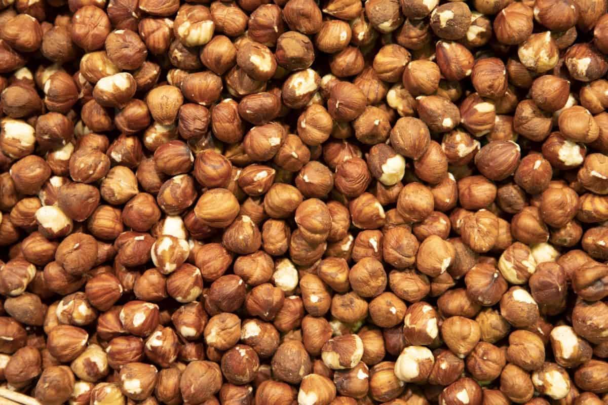 hazelnuts in india