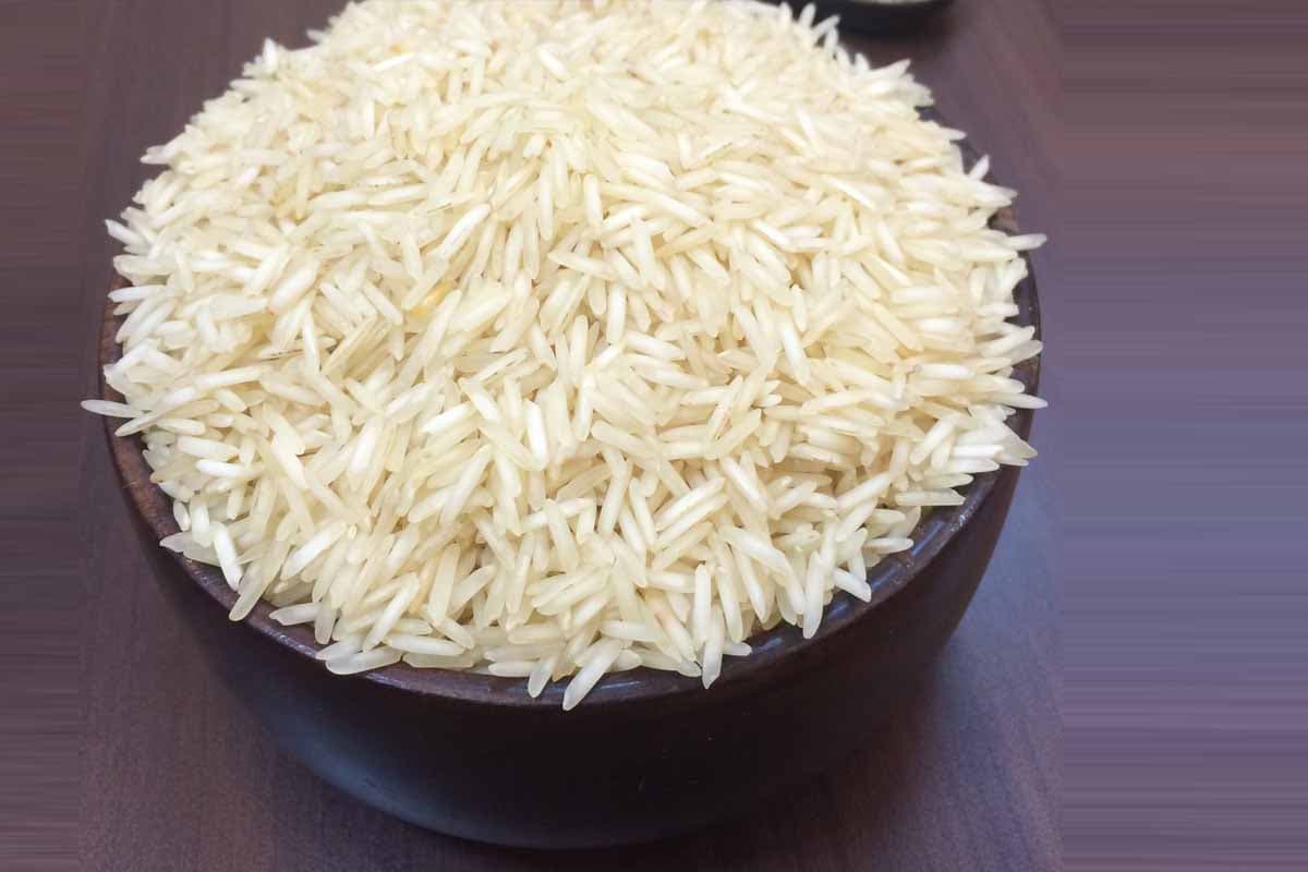 Vestige Rice