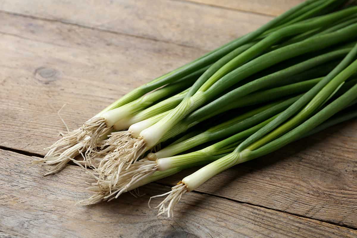 green onion organic