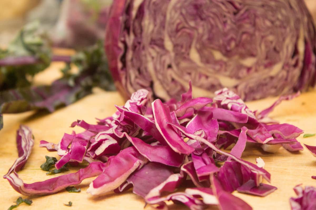 red cabbage indicator