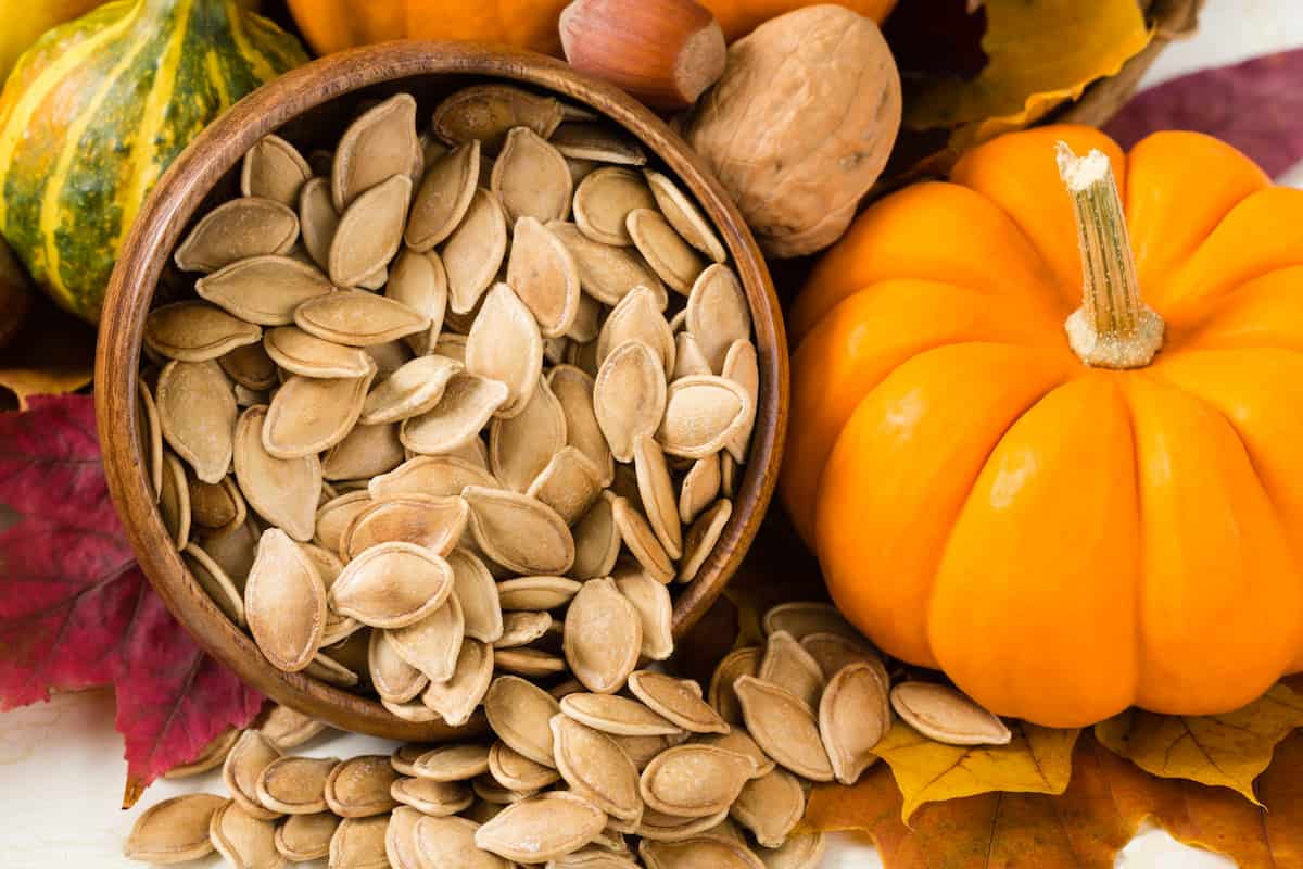 pumpkin seeds protein