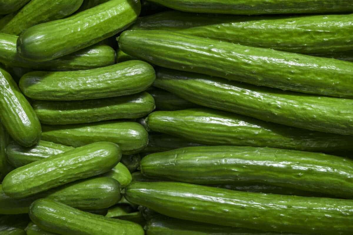 english cucumber nutrition