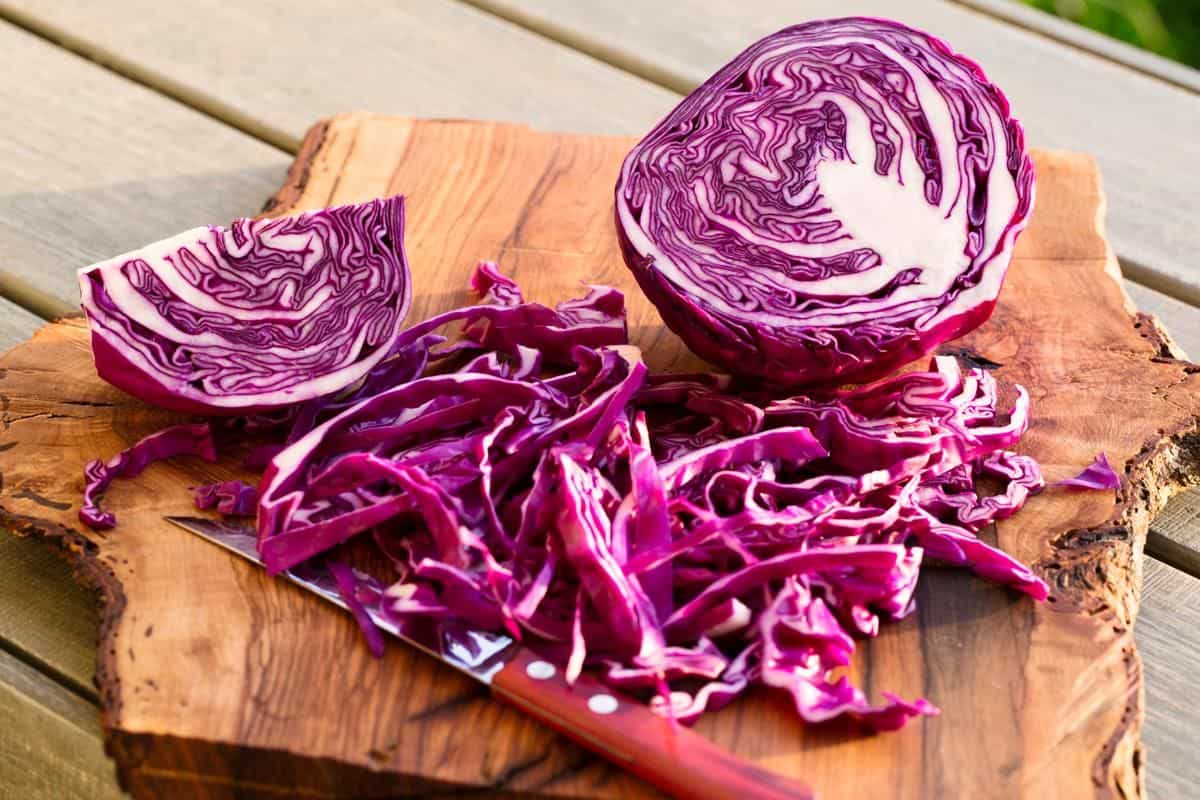 purple cabbage benefits