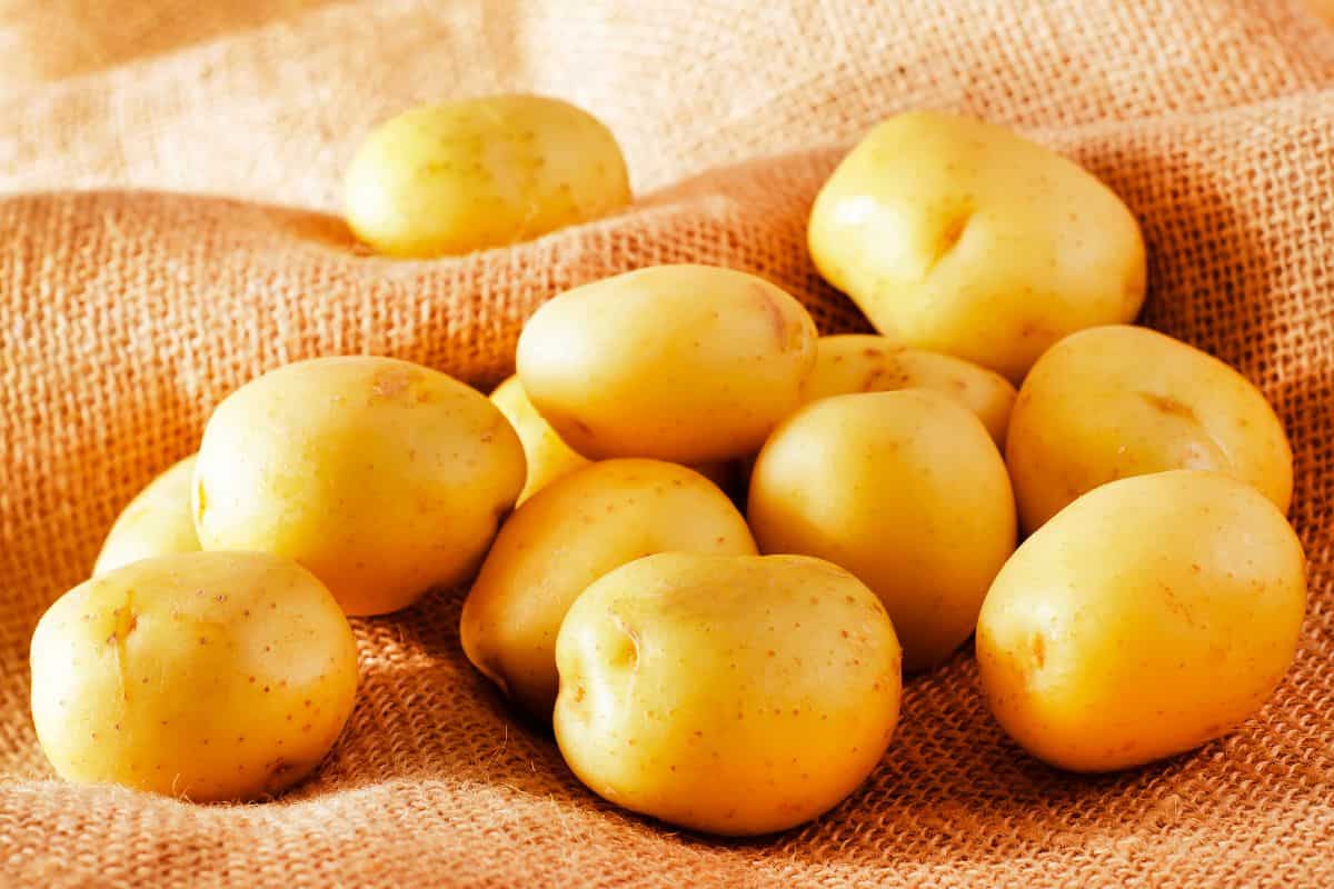 gujarati potato bhajia